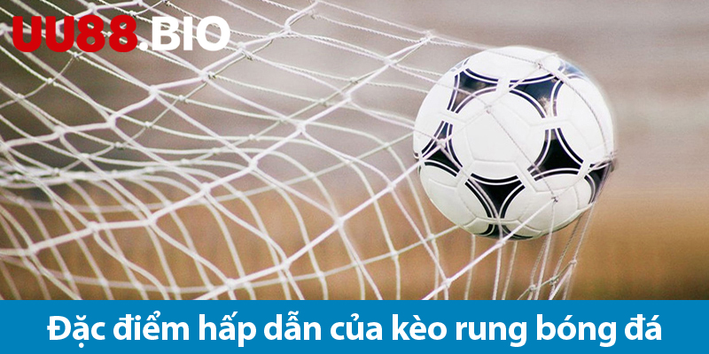 Kèo rung bóng đá - Bí quyết thắng lớn trong mỗi trận đấu