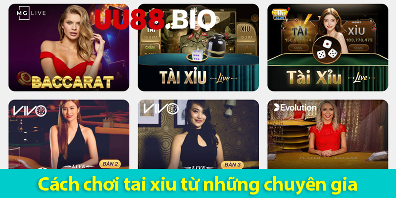 Các loại cược và cách chơi tài xỉu live luôn thắng cho bet thủ